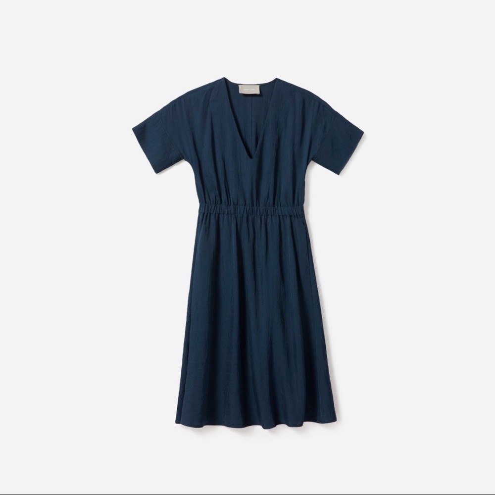 Everlane Japanese Goweave Dress Blue